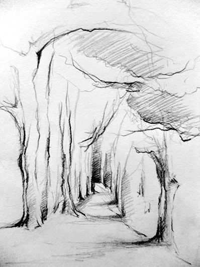 Simone Riedel | Zeichnungen