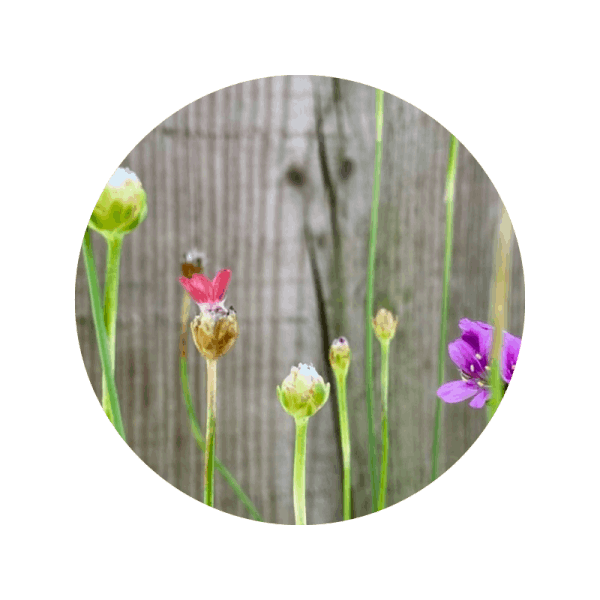 Simone Riedel | Social Media