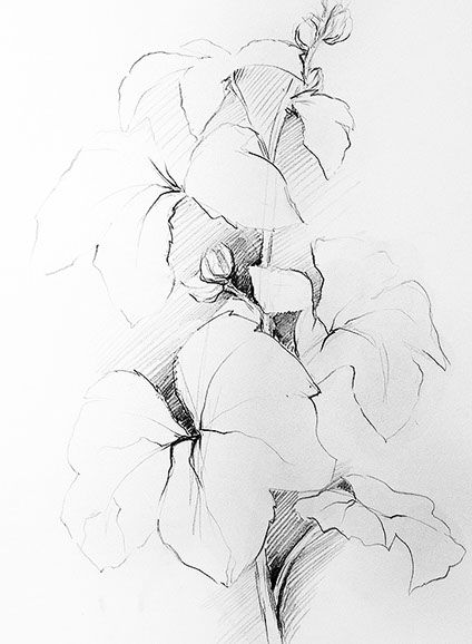 Simone Riedel | Zeichnungen