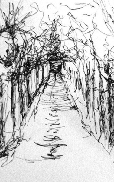 Simone Riedel | Zeichnungen