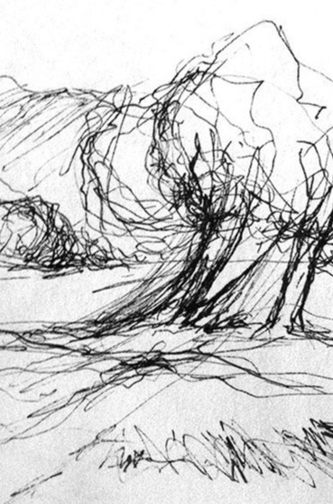 Simone Riedel | Zeichnungen