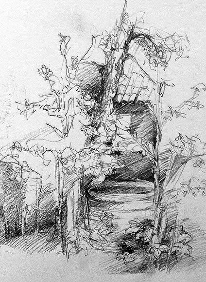 Simone Riedel | Zeichnungen