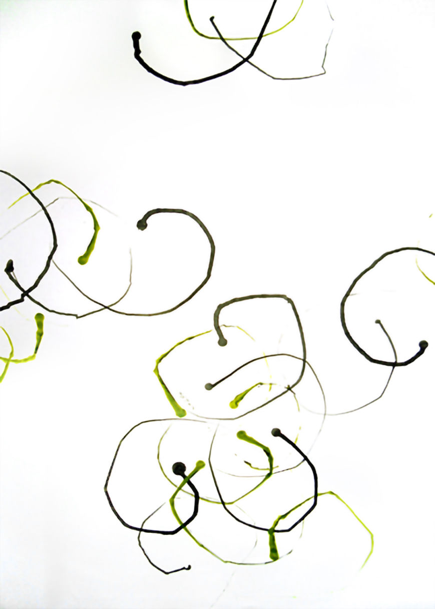 Simone Riedel | Zeichnungen