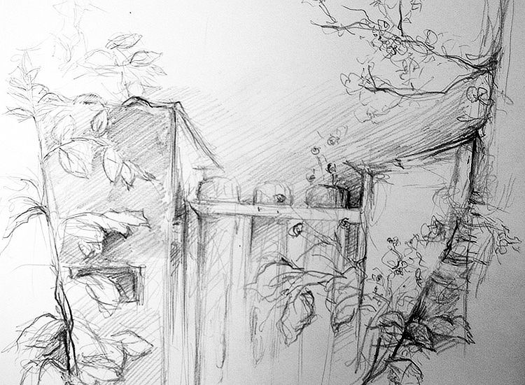 Simone Riedel | Aquarelle