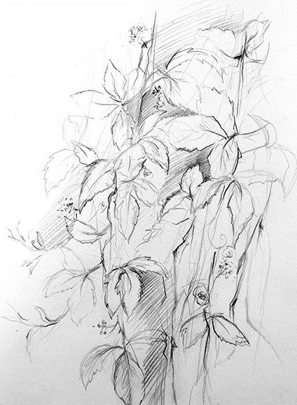 Simone Riedel | Zeichnungen