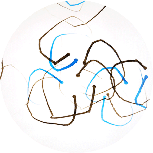 Simone Riedel | Zeichnungen | Vorschau